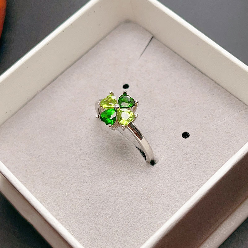 Real Chrome Diopside Ring with – Chrome Hearts Ring Bewertung und Preis